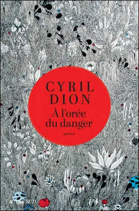 Livres Littérature et Essais littéraires Poésie À l'orée du danger Cyril Dion