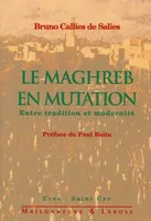 Le Maghreb en mutation, entre tradition et modernité