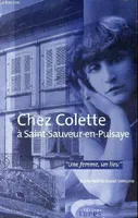 Chez Colette A St Sauveur En Puisaye