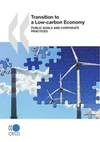 Transition to a Low-Carbon Economy, Public Goals and Corporate Practices