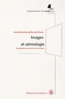 Images et sémiologie, Sémiotique structurale et herméneutique