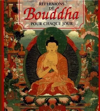 Coffret Rreflexions de bouddha pour chaque jour, l'histoire du bouddhisme