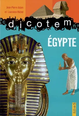 EGYPTE/DICOTEM