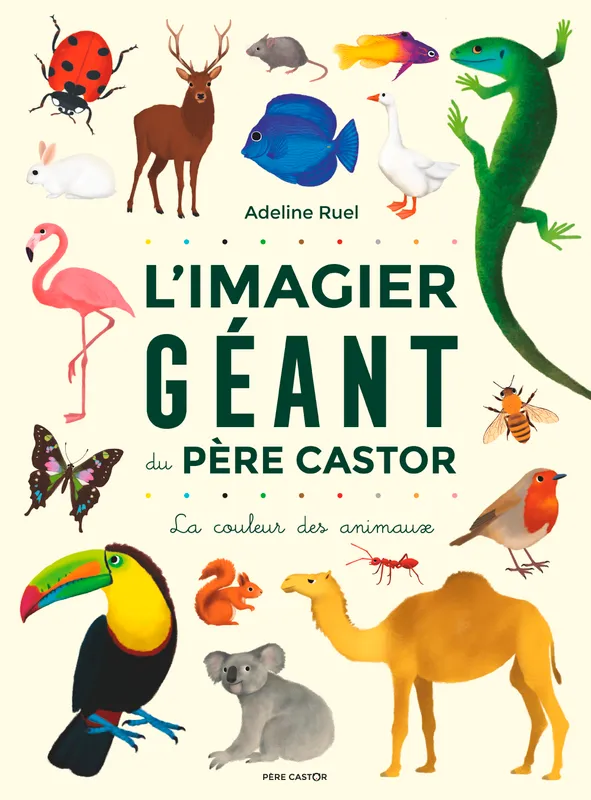 Livres Jeunesse de 3 à 6 ans Albums L'imagier géant du père Castor, La couleur des animaux, La couleur des animaux Adeline Ruel