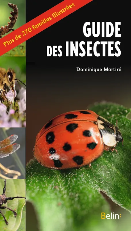 Livres Écologie et nature Nature Faune Le guide des insectes Dominique Martiré