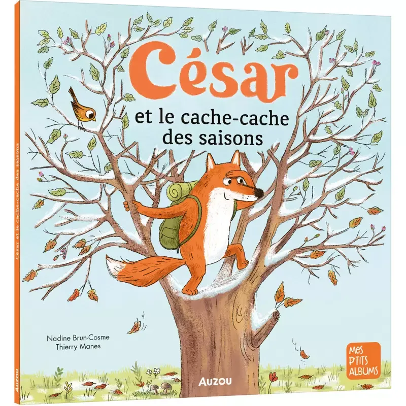 Livres Jeunesse de 3 à 6 ans Albums César et le cache-cache des saisons Nadine Brun-Cosme