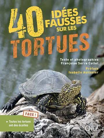 Livres Écologie et nature Nature Faune 40 idées fausses sur les tortues Françoise Serre-Collet