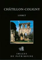 Chatillon-Coligny N°199