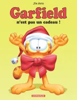 17, Garfield n'est pas un cadeau !