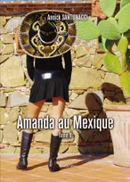 Promesse tenue, 2, Amanda au Mexique - Tome II