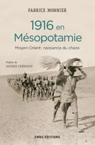 1916 en Mésopotamie,  Moyen-Orient : naissance du chaos