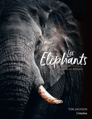 Les éléphants, Puissants et délicats