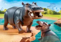 Hippopotame et son petit