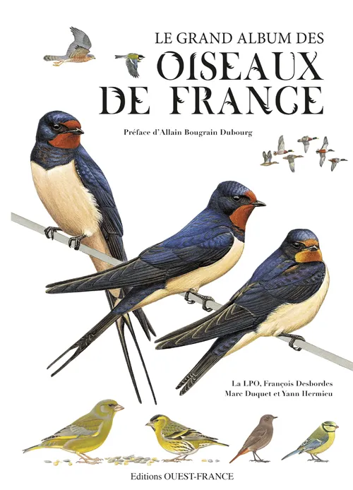 Le grand album des oiseaux de France Ligue pour la protection des oiseaux