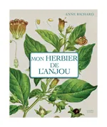 Mon herbier de campagne - 93 planches botaniques anciennes revisitees, plantes sauvages et cultivees en France