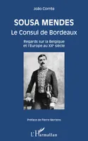 Sousa Mendes, Le Consul de Bordeaux - Regards sur la Belgique et l'Europe au XXe siècle