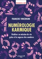 Numérologie karmique, Réaliser sa mission de vie grâce à la sagesse des nombres