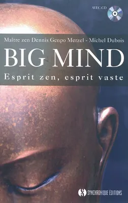 Big mind, Esprit zen, esprit vaste