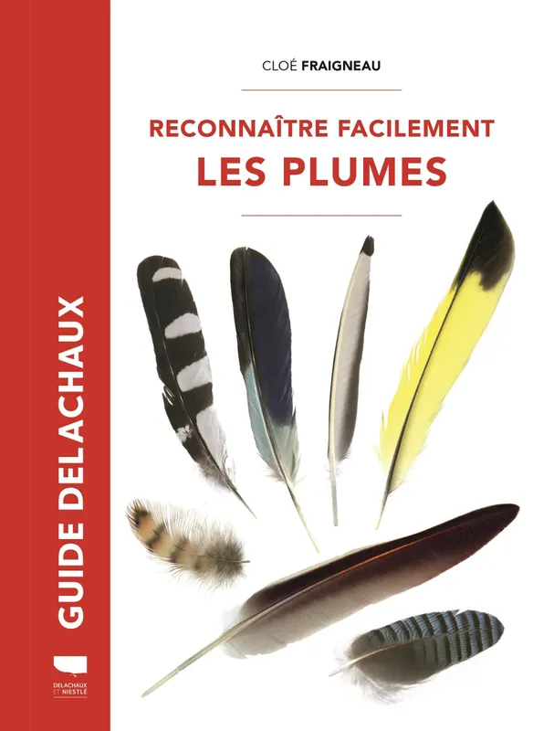 Livres Écologie et nature Nature Faune Reconnaître facilement les plumes Cloé Fraigneau