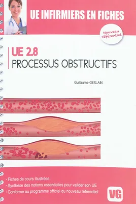 UE2.8, processus obstructifs