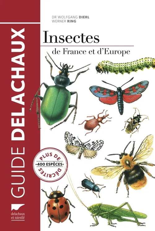 Livres Écologie et nature Nature Faune Insectes de France et d'Europe Wolfgang Dierl, Werner Ring