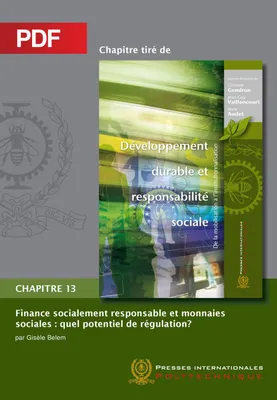 Finance socialement responsable et monnaies sociales (Chapitre PDF), Quel potentiel de régularisation?