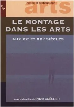 Livres Arts Beaux-Arts Histoire de l'art Montage dans les arts, actes des Journées d'études du 27 et 28 octobre 2006 Sylvie Coëllier