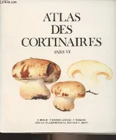 Atlas des cortinaires., Pars VII, Atlas des Cortinaires, Pars VII - Sous-genre telamonia, Section armillati - Sous-genre phlegmacium, section patibiles, sous-section crassi