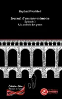 Journal d'un sans-mémoire, 1, À la croisée des ponts, Roman