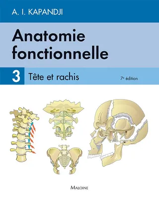 3, Anatomie fonctionnelle