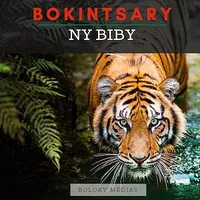 Bokintsary - Ny biby, Imagier malgache - Les animaux