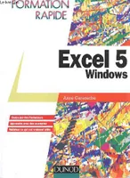 Excel 5 Windows