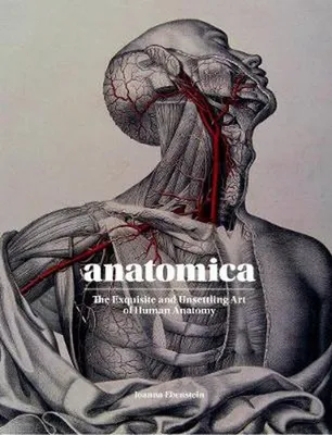 Anatomica /anglais