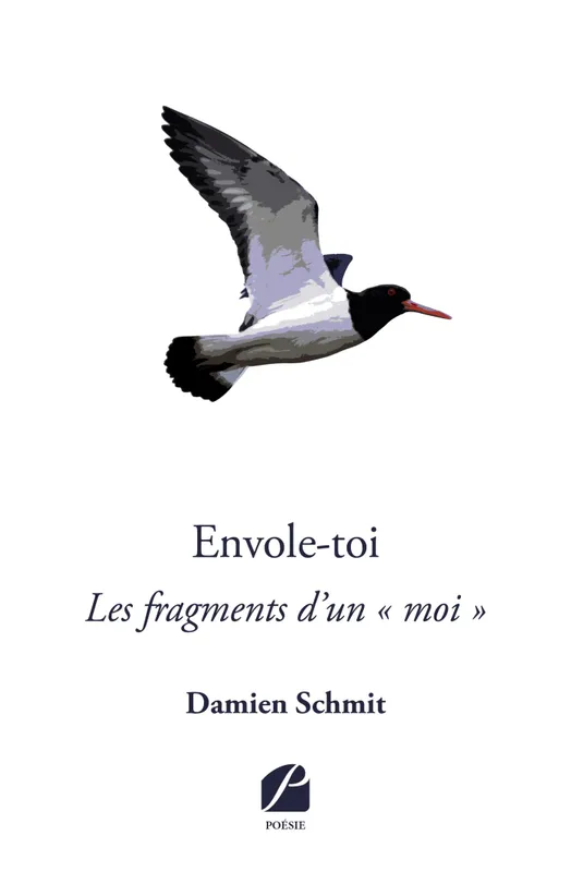 Livres Littérature et Essais littéraires Poésie Envole-toi, Les fragments d'un «moi» Damien Schmit