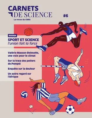 Carnets de science - Tome 6, La revue du CNRS