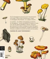 Livres Mer Les champignons vont sauver le monde, Les pouvoirs insoupçonnés du mycelium Paul Stamets