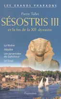 Sésostris III et la fin de la XIIe dynastie, LA NUBIE, ABYDOS, LES PYRAMIDES DE DAHCHOUR, LE SINAI