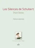 Les Silences de Schubert