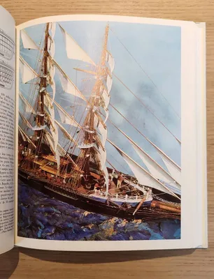 Hommes et navires au Cap Horn 1616-1939