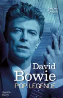 David Bowie / pop légende, Pop légende