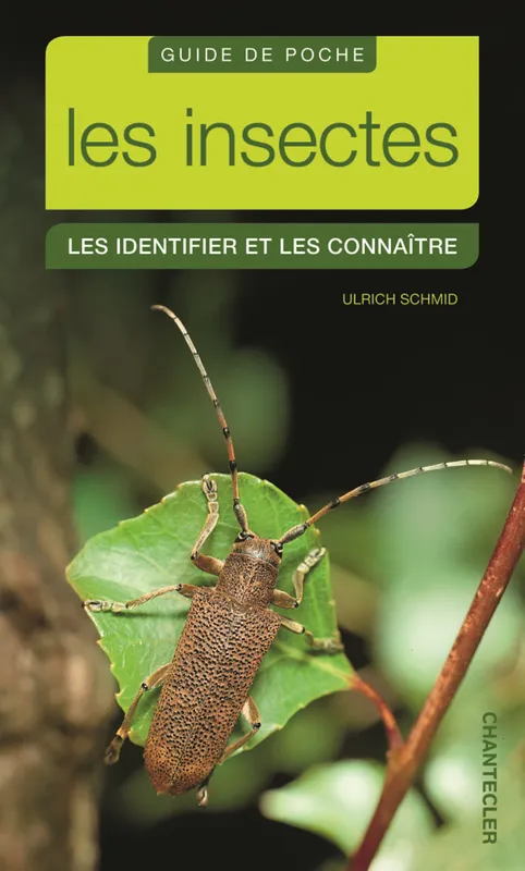 Livres Écologie et nature Nature Faune Guide de poche les insectes - Les identifier et les connaitre, les identifier et les connaître Ulrich Schmid
