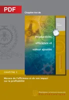 Mesure de l'efficience et de son impact sur la profitabilité (Chapitre PDF), Chapitre 3 Productivité, efficience et valeur ajoutée