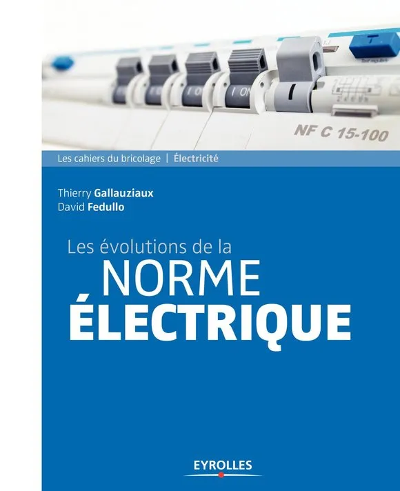Livres Sciences et Techniques BTP Les évolutions de la norme électrique David Fedullo, Thierry Gallauziaux