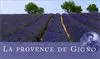 La Provence de Giono Pierre Magnan