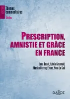 Prescription, amnistie et grâce en France, Thèmes et commentaires
