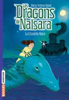 Les dragons de Nalsara, Tome 09, La citadelle noire