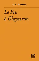 Le Feu à Cheyseron - Histoire de la montagne