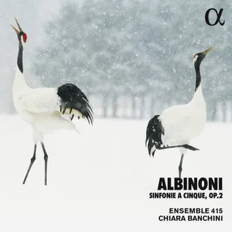 CD / Sinfonie A Cinque Op 2 / Tomaso Alb / Ensemble 4