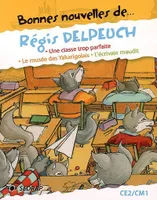 Régis Delpeuch