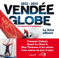 Vendée Globe 2012-2013 : la course et le palmarès, la course et le palmarès